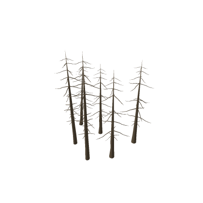 Dead Trees