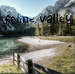 Feline Valley Staff Applications