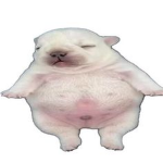 The Pibbles People