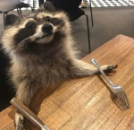 let us eat