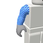 ROBLOX Boy Right Arm