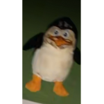 Robux my sis show :(