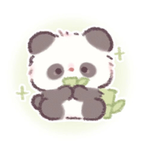 Pandi group!!