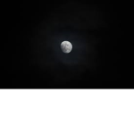 darkness nfb
