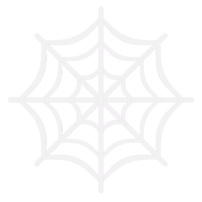  Halloween Spider Web Hair Clip (L) 🕸️