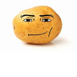 brotato[1]