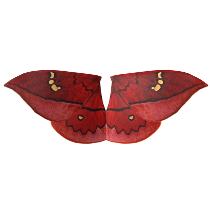 Scarlet Windowed Moth Wings