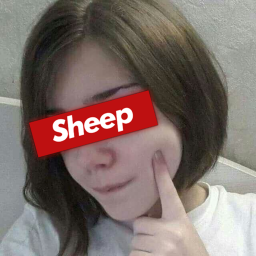 ·Sheep· Homestore