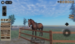 ~-Evergreen Riding center-~(STRIDEWAY)