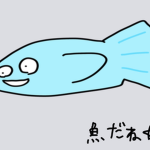 さかなのへや