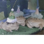 Cucumber fan club!