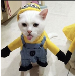 D4RL1NGSZ