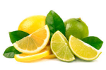 Team lemonlime