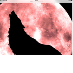 Wolves rule