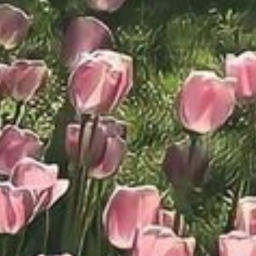 🌷