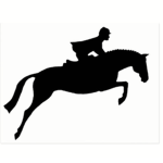 |Pastel Feather Equestrian|