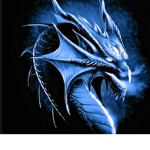 Dragon .Inc