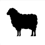 Black Lamb Productions