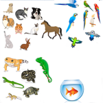 The Pet Place :D