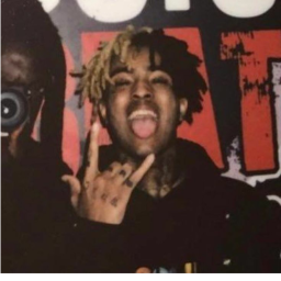 ✧