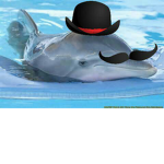 THE EXPLODING DOLPHIN UGLY PINK SHEEP WITH MUSTACH