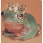 QuEenS oF fRoGs