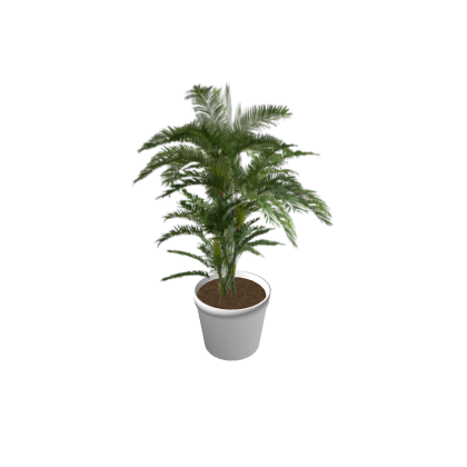 Plant1