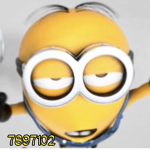 T a m m i l l i