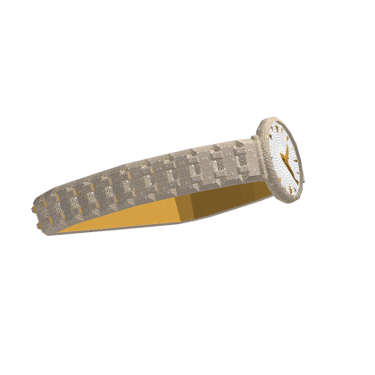 Gold & White Female Watch