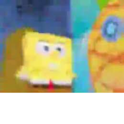 Killer Sponge