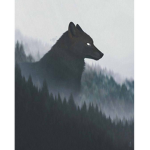 XxStrom_372