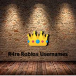R4re ROBLOX usernames