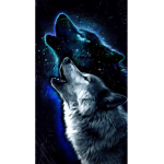 -*moonlight*-