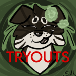 mossys tryouts!