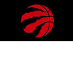 The TORONTO RAPTORS in the city