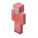 oink oink