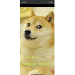 #doges United ll