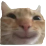 yaycat bot