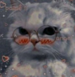 Lizzycat