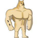 Doge Works inc