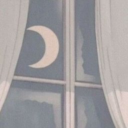 🌙