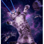 The Cat Space Force