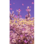 PeachyXxVibes