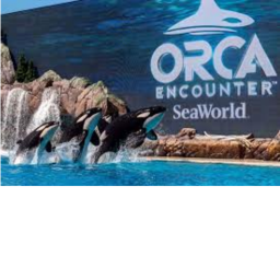 Seaworld San Diego