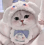 Cat girl’s roblox