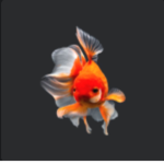 group name (idk)