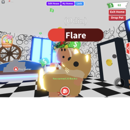Cats obby