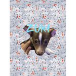 Zuki Squad