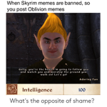 oblivion funny lol