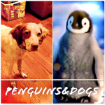 Penguins of AC/DC yah